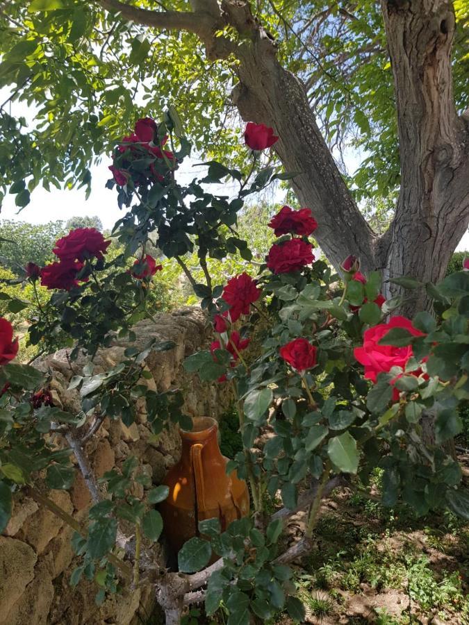 הוילה קסטלנטה Trullo Del Cavaliere Delle Gravine מראה חיצוני תמונה